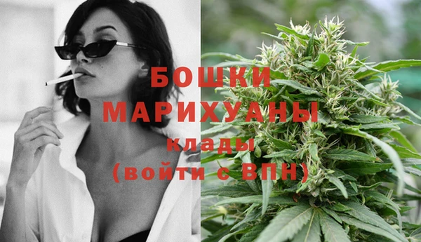 ПСИЛОЦИБИНОВЫЕ ГРИБЫ Кукмор