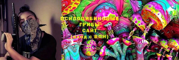 ПСИЛОЦИБИНОВЫЕ ГРИБЫ Кукмор