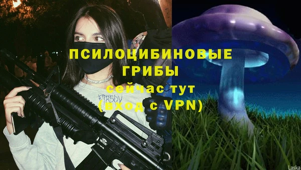 прущие крисы Куйбышев