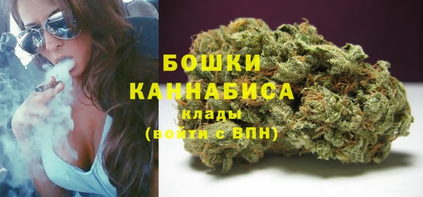 ПСИЛОЦИБИНОВЫЕ ГРИБЫ Кукмор