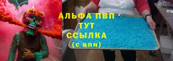 ПСИЛОЦИБИНОВЫЕ ГРИБЫ Кукмор